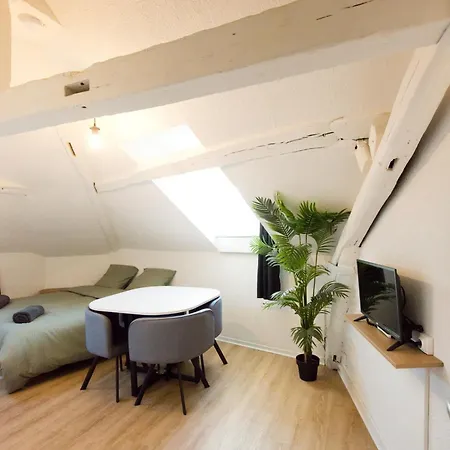 Le Cocon : En Hypercentre Cathedrale Amiens