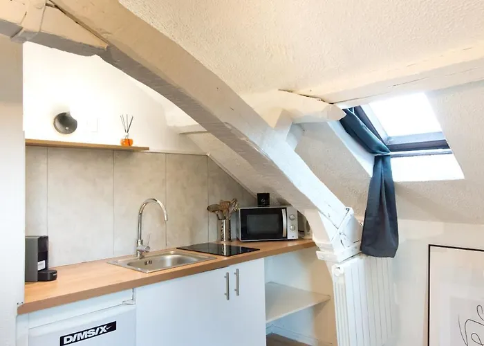 Le Cocon : En Hypercentre Cathedrale Appartement